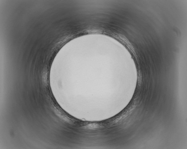 X0000110320441200907021205