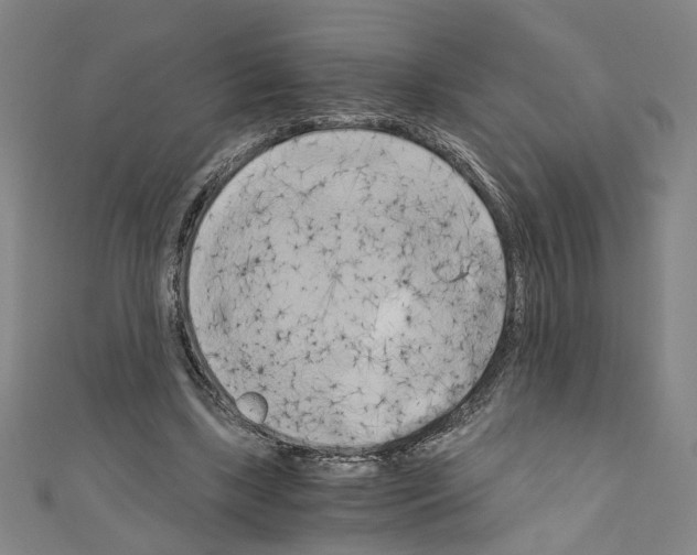 X0000110320443200907021205