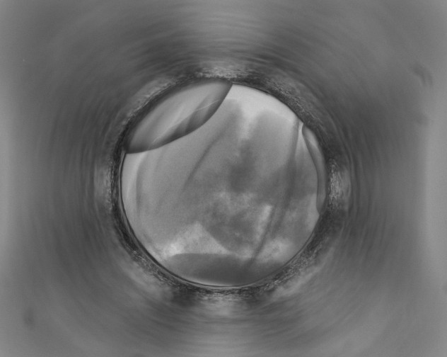 X0000110320444200907021205