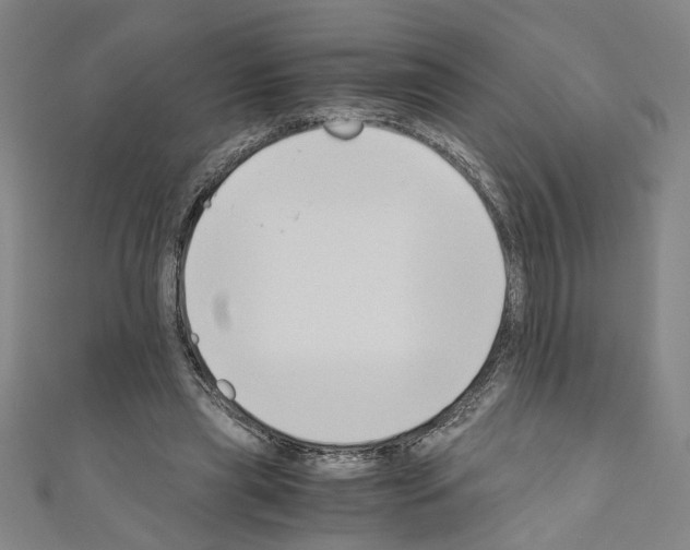 X0000110320445200907021205