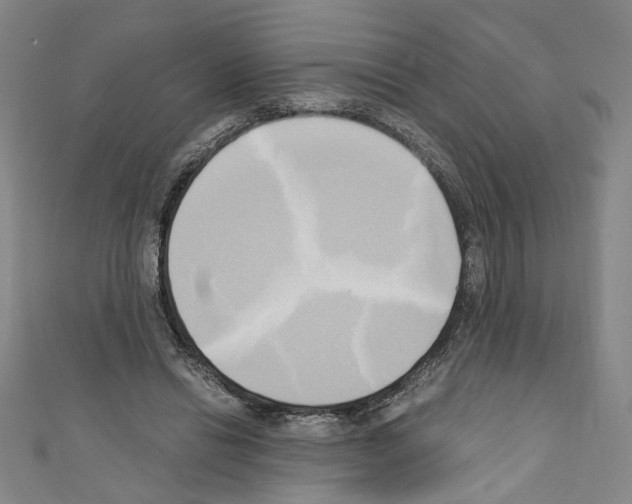 X0000110320446200907021205