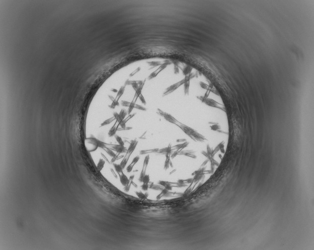 X0000110320447200907021205