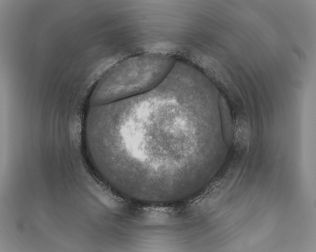 X0000110320448200907021205