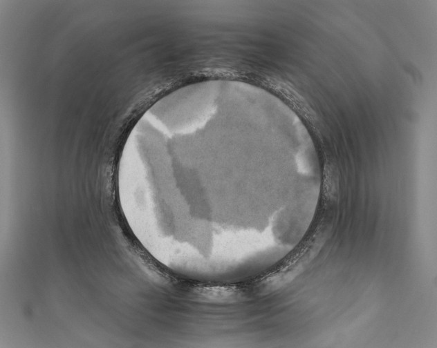 X0000110320449200907021205