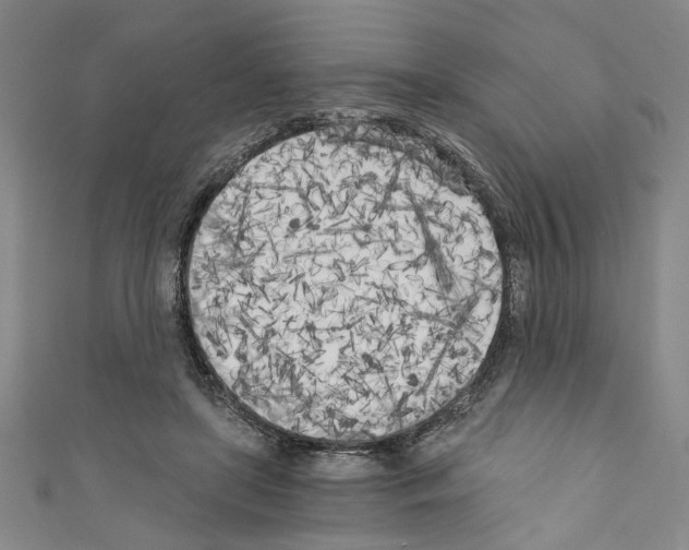 X0000110320451200907021205