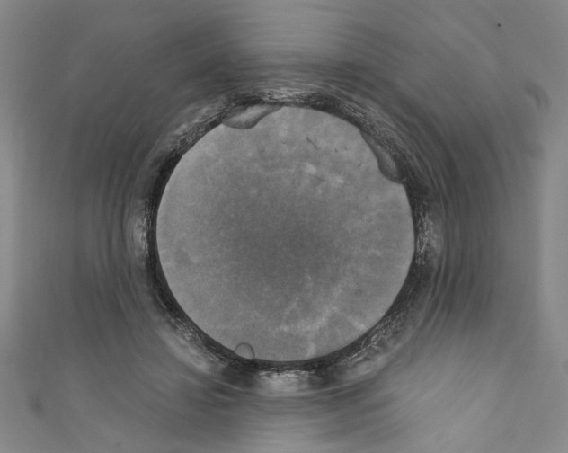 X0000110320452200907021205