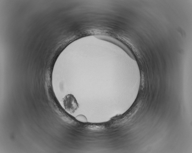 X0000110320453200907021205