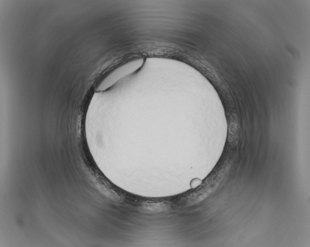 X0000110320454200907021205