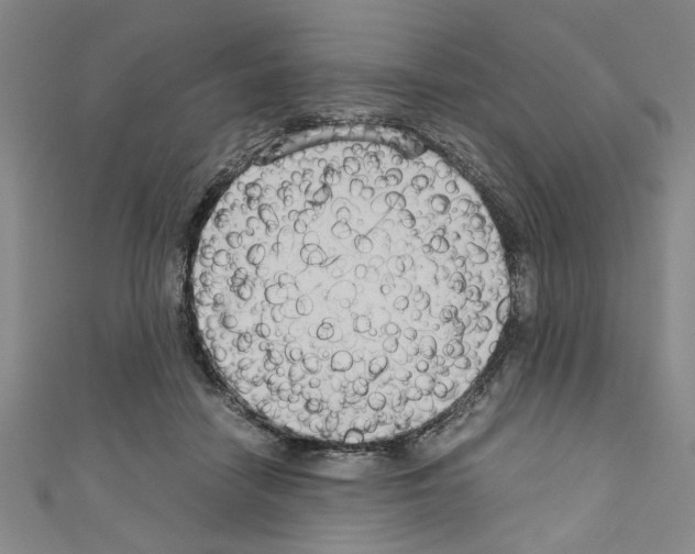 X0000110320458200907021205