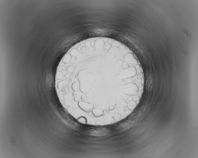 X0000110320459200907021205