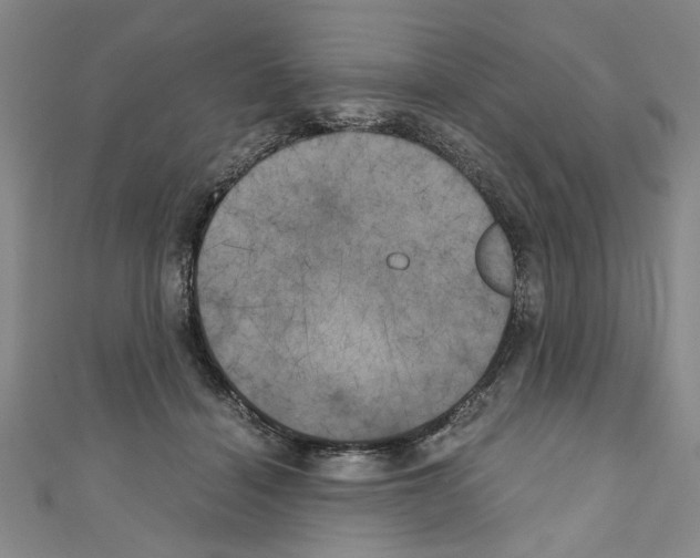 X0000110320460200907021205