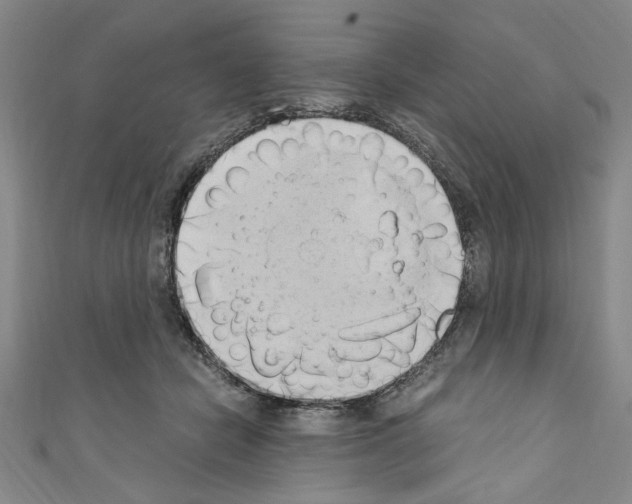 X0000110320462200907021205