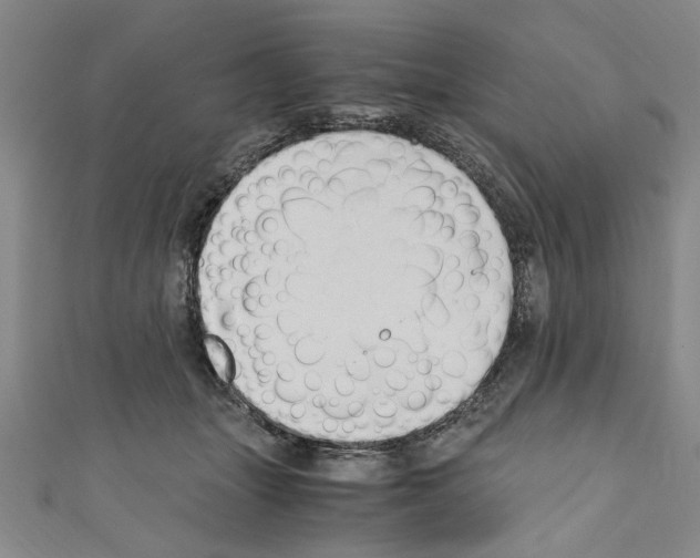 X0000110320463200907021205