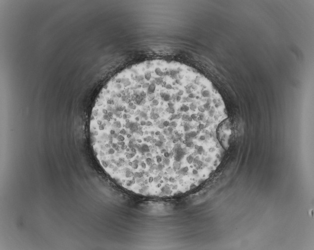 X0000110320464200907021205