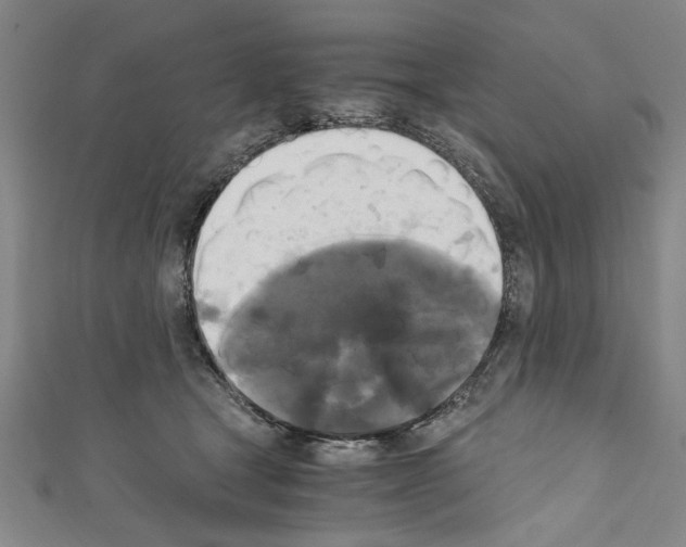 X0000110320465200907021205