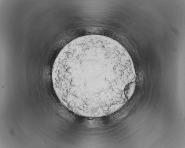 X0000110320466200907021205