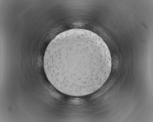 X0000110320467200907021205