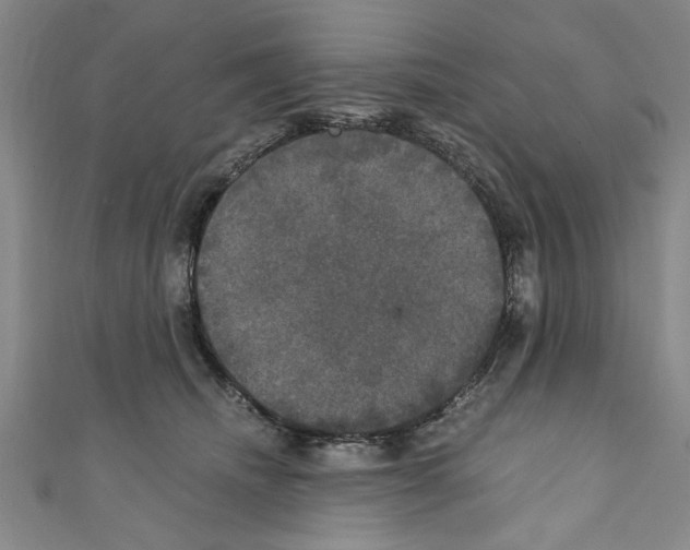 X0000110320468200907021205