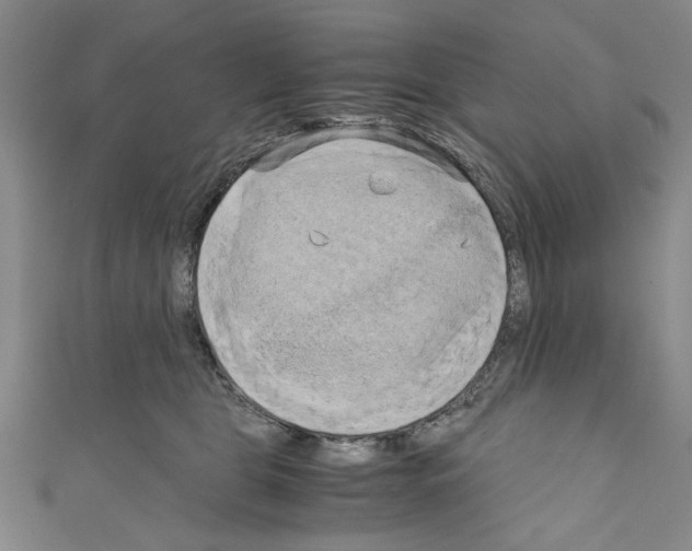 X0000110320469200907021205