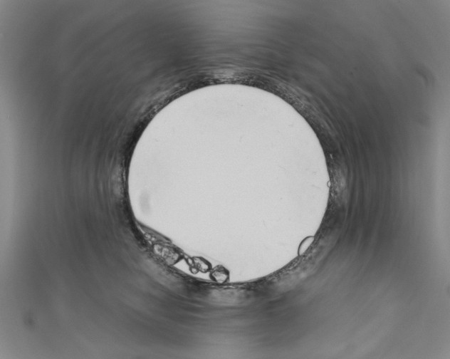 X0000110320470200907021205