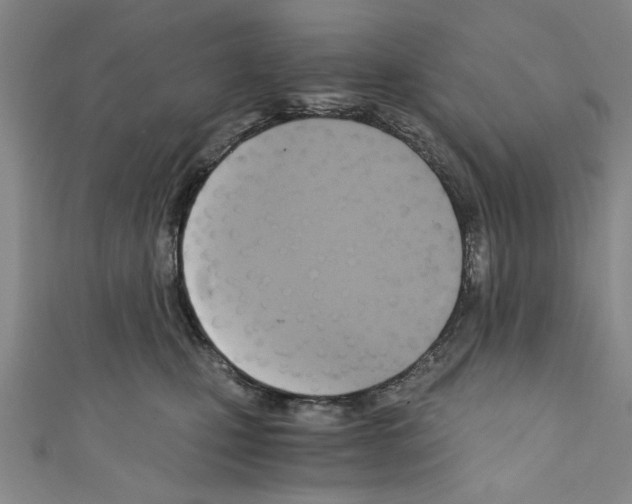 X0000110320471200907021205