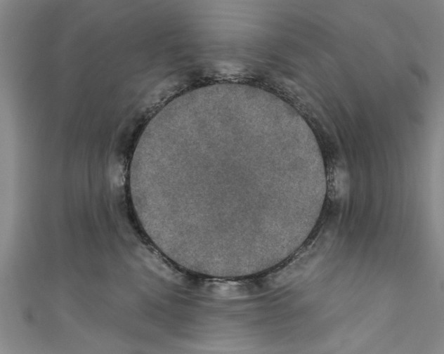 X0000110320472200907021205