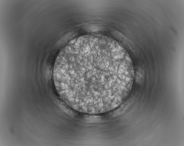 X0000110320476200907021206