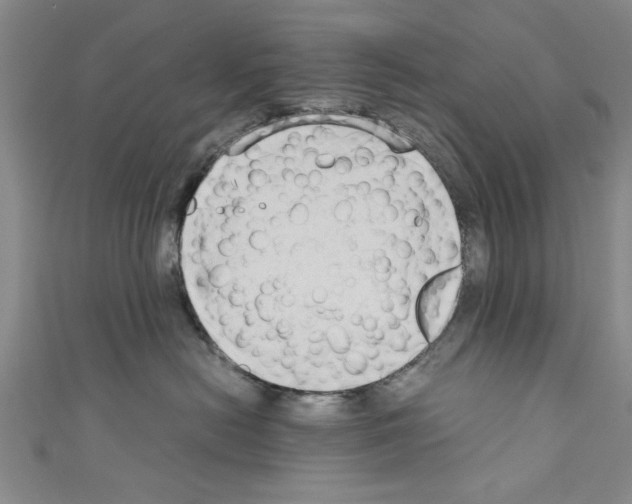 X0000110320478200907021206