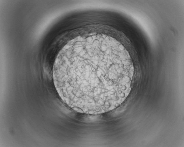 X0000110320479200907021206