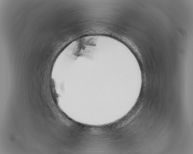 X0000110320481200907021205