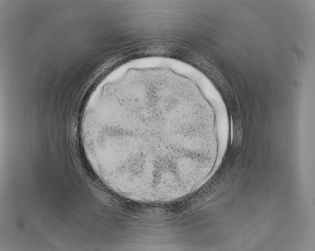 X0000110320483200907021205