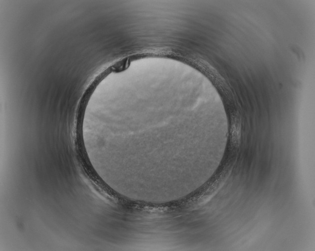 X0000110320484200907021205