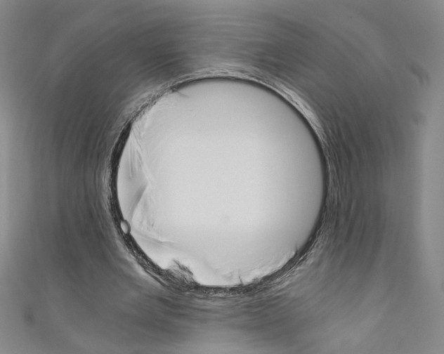 X0000110320485200907021205