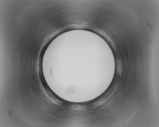 X0000110320486200907021205