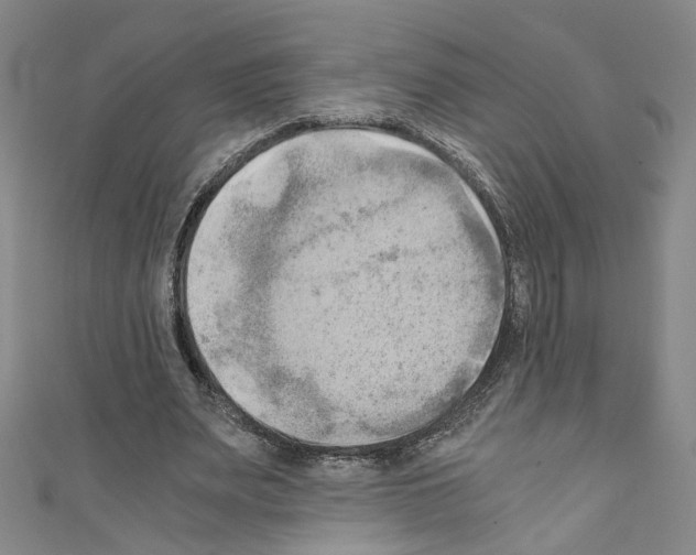 X0000110320487200907021205