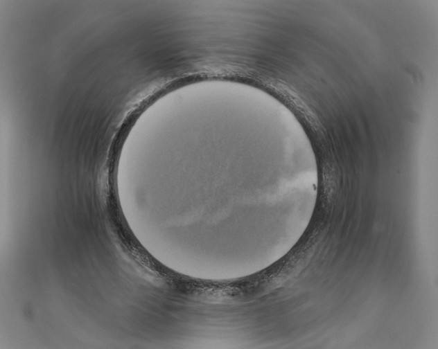 X0000110320488200907021205