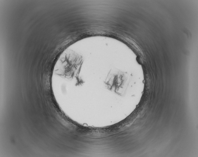 X0000110320489200907021205