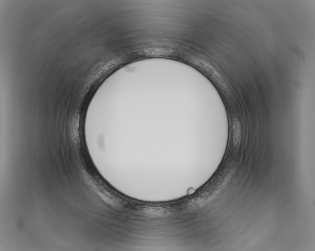 X0000110320490200907021205