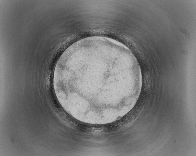 X0000110320495200907021205