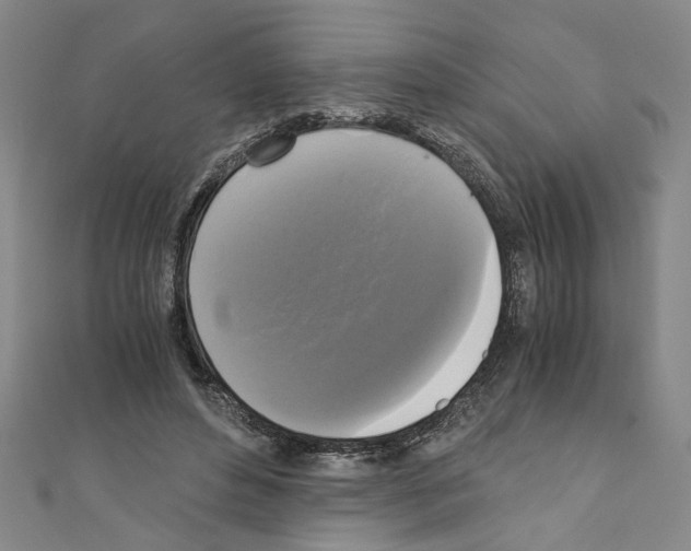 X0000110320496200907021205