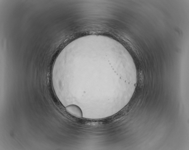 X0000110320499200907021205