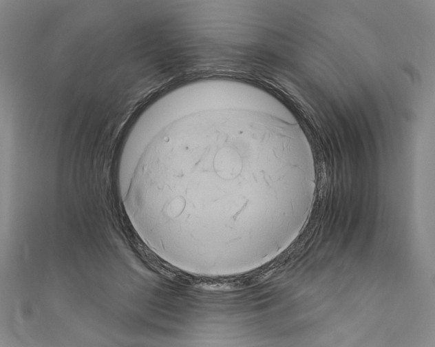 X0000110320500200907021205