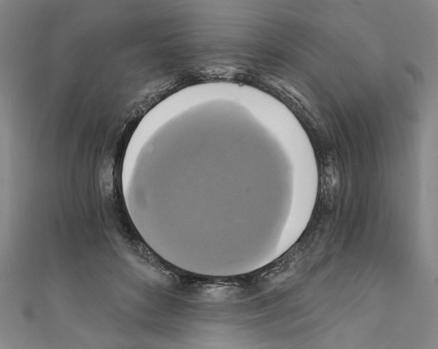 X0000110320504200907021205