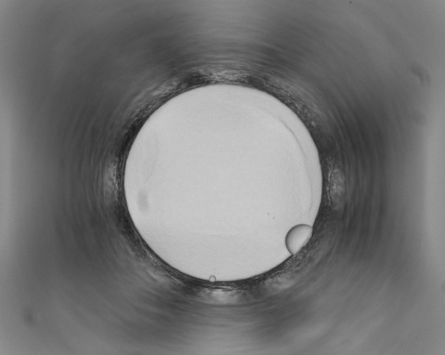 X0000110320506200907021205