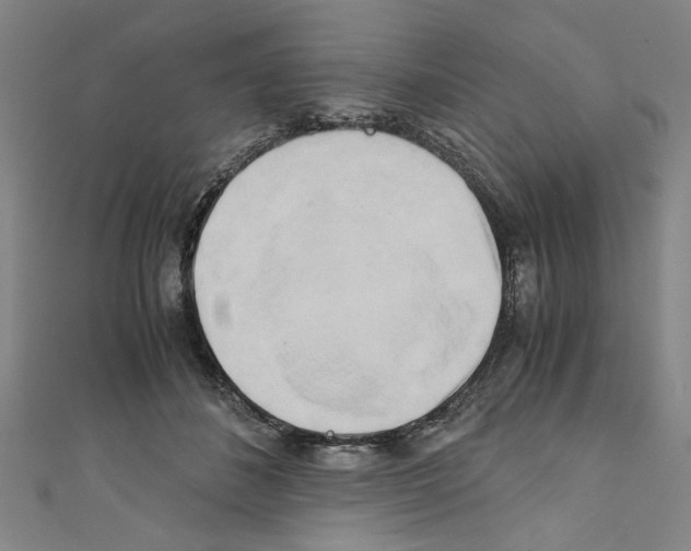 X0000110320508200907021205