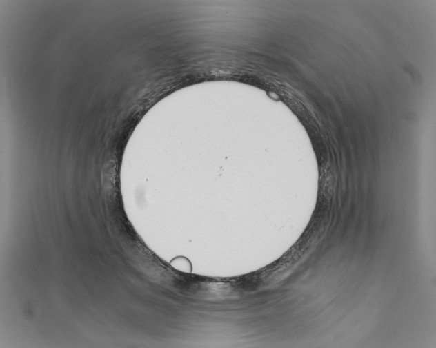 X0000110320509200907021205