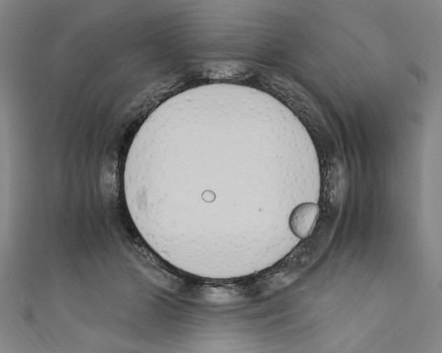 X0000110320510200907021205