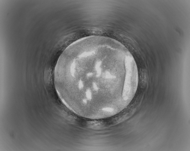 X0000110320511200907021204