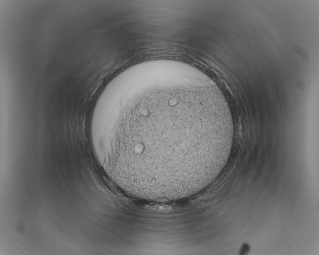 X0000110320512200907021204