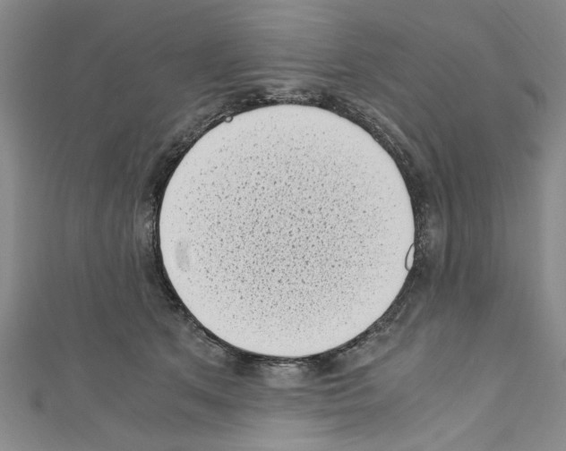 X0000110320513200907021204